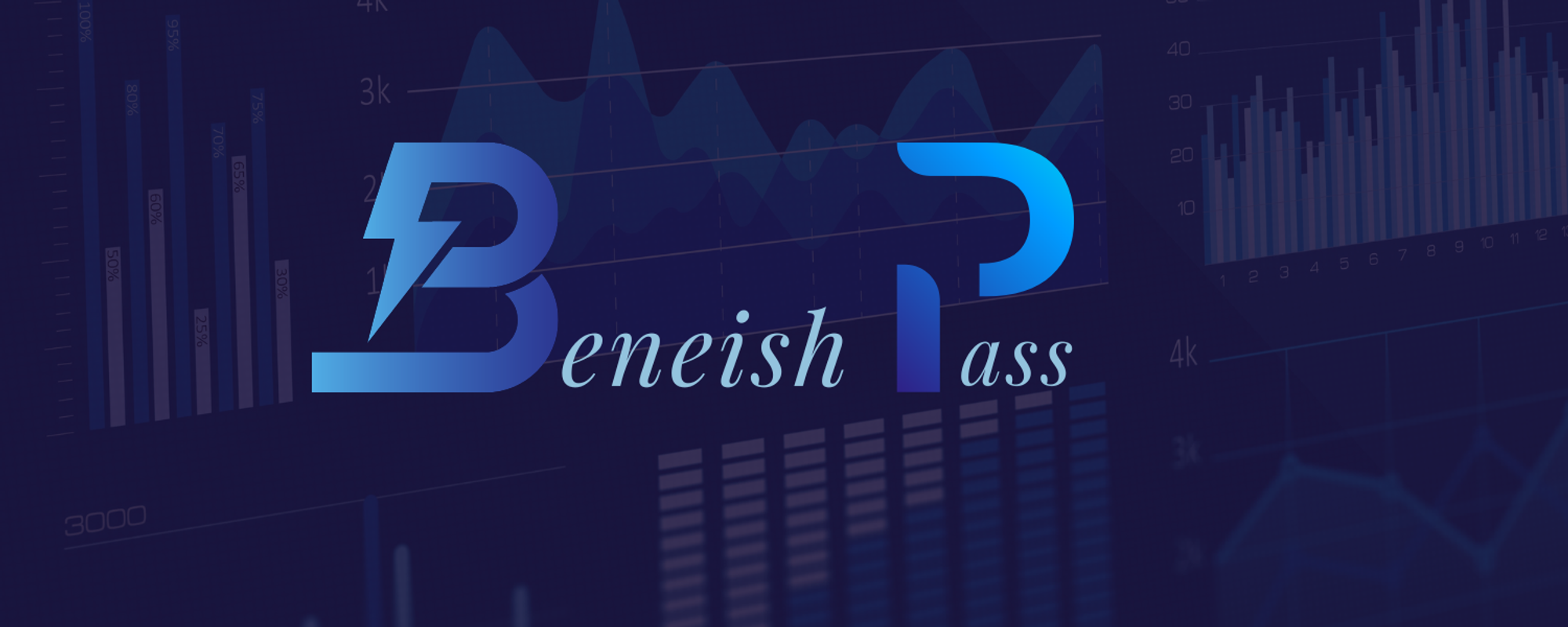 Beneish Pass - Analyzing Quality of Financial Statements 